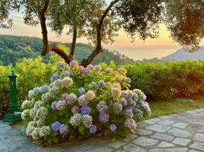 Incanto